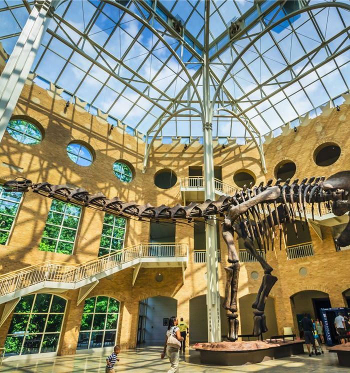 Atlanta Fernbank Museum of Natural History at Georgia