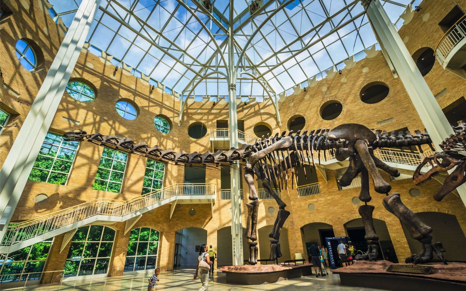 Fun Things To Do in Atlanta, GA 