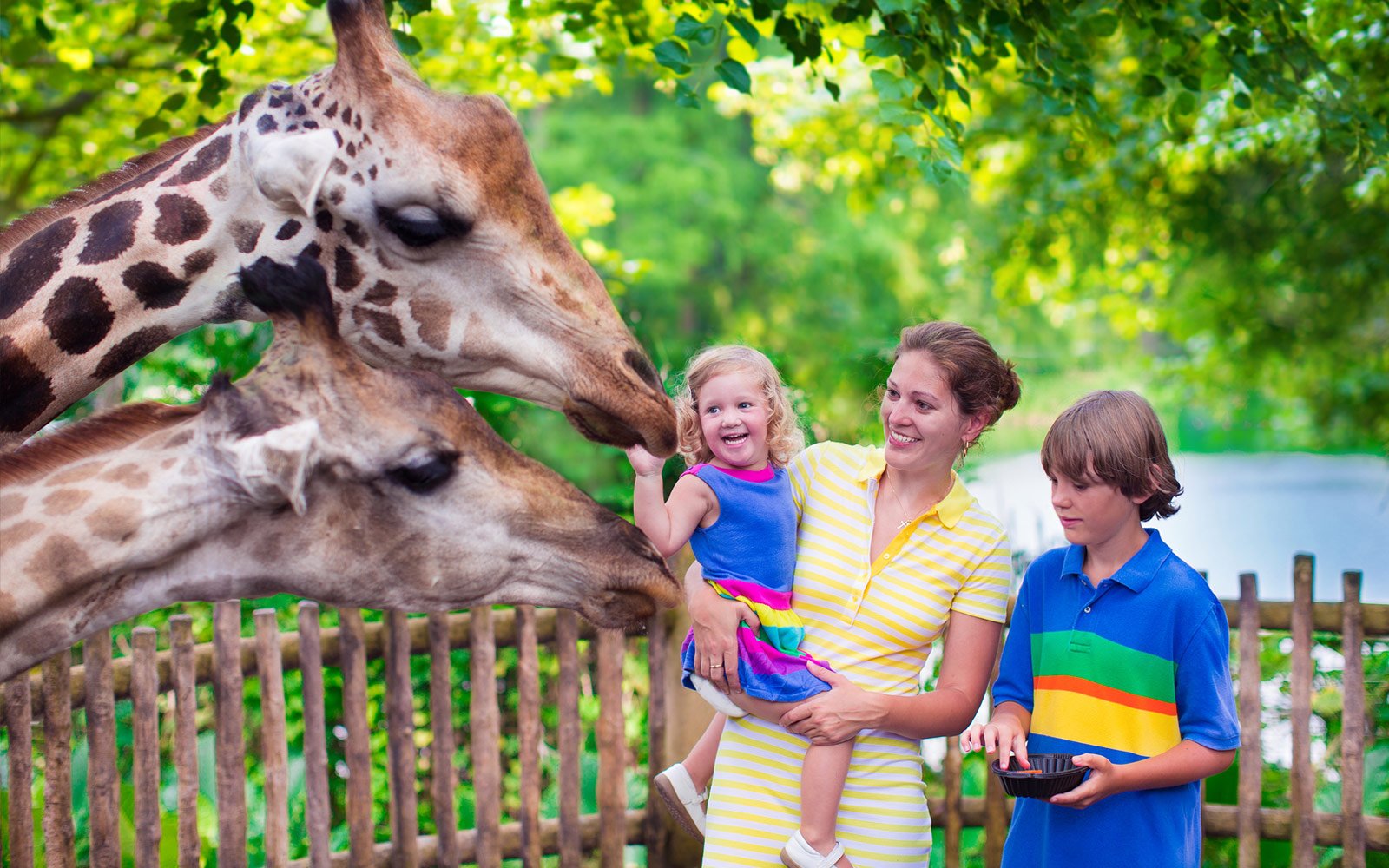  Zoo  Atlanta Animal Exhibits Sightseeing